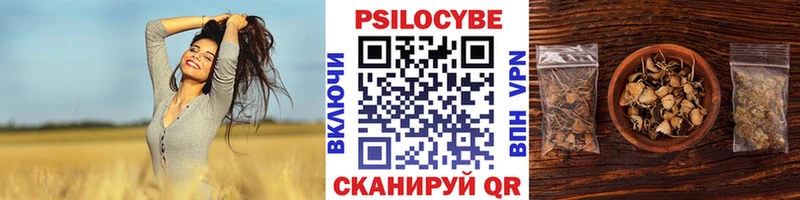 где найти наркотики  Красный Холм  Псилоцибиновые грибы прущие грибы 